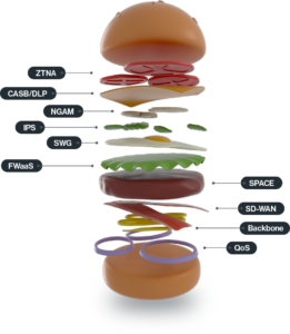 CATO NETWORKS